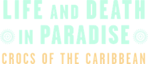 Life and Death in Paradise: Crocs of the Caribbean's poster