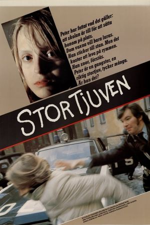 Stortjuven's poster image