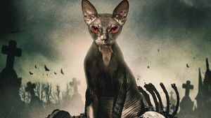 Pet Graveyard's poster