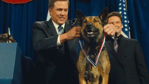 Max 2: White House Hero's poster