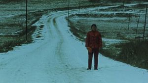 The Story of Qiu Ju's poster