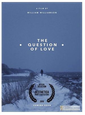 The Question of Love's poster