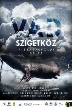 Vad Szigetköz: A szárazföldi delta's poster