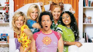 The Hot Chick's poster