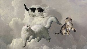 Cats 2's poster