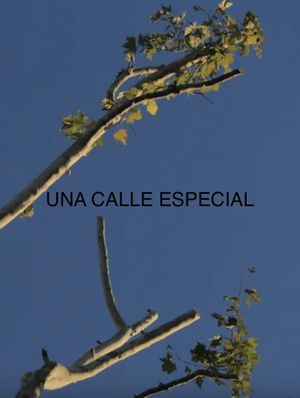 Una Calle Especial's poster