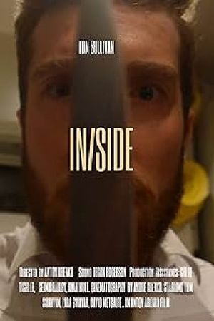 In/Side's poster