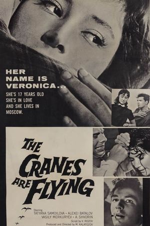 The Cranes Are Flying's poster