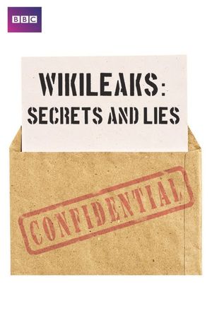True Stories: Wikileaks - Secrets and Lies's poster
