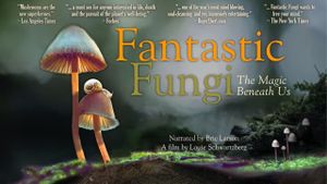 Fantastic Fungi's poster