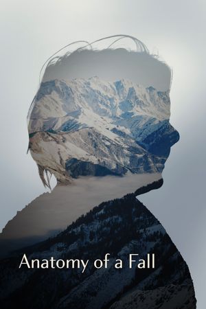 Anatomy of a Fall's poster