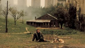 Nostalghia's poster