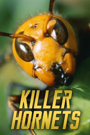 Killer Hornets's poster