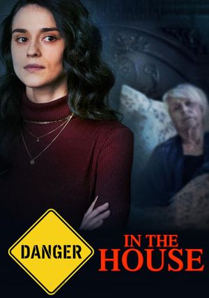 Danger in the House's poster