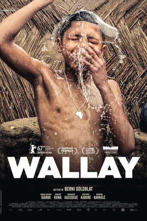 Wallay's poster image