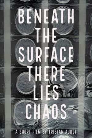 Beneath The Surface There Lies Chaos's poster image