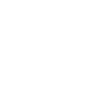 Me and Earl and the Dying Girl's poster