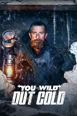 You vs. Wild: Out Cold's poster