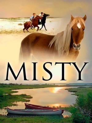 Misty's poster