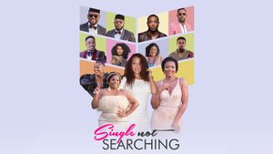 Single Not Searching's poster