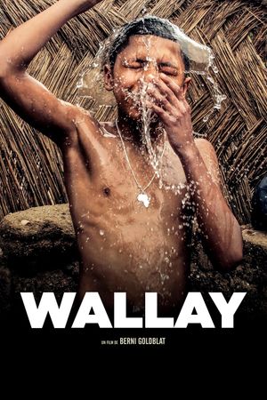 Wallay's poster