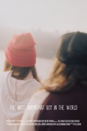 The Most Important Boy in the World's poster