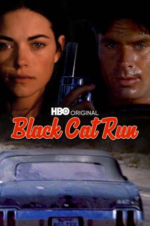 Black Cat Run's poster
