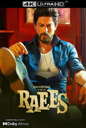 Raees's poster