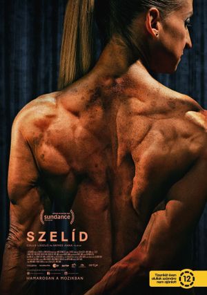 Gentle's poster