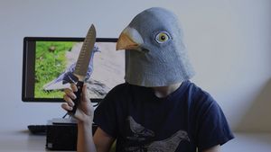 Hunt for the Pigeon Murderer's poster