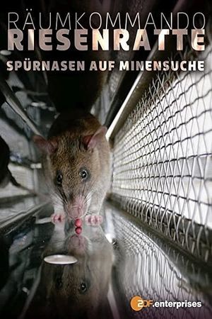 Räumkommando Riesenratte - Spürnasen auf Minensuche's poster