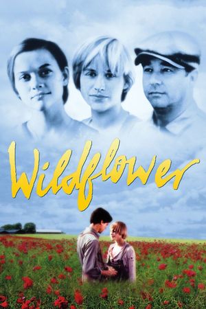 Wildflower's poster