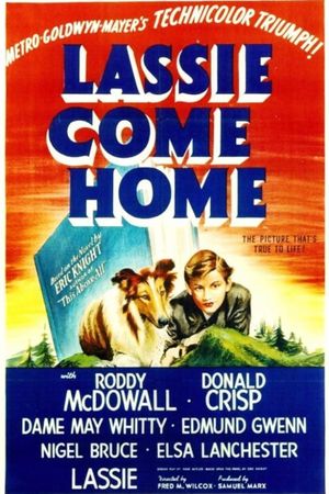 Lassie Come Home's poster