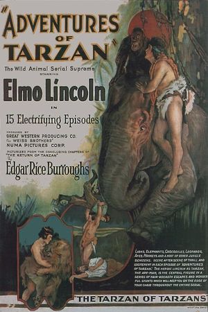 Adventures of Tarzan's poster