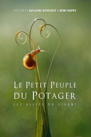 The Marvelous Wild World of the Vegetable Garden's poster