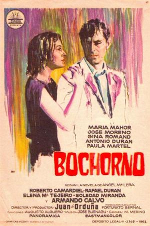 Bochorno's poster image