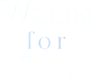 Endless Rain's poster