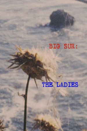 Big Sur: The Ladies's poster