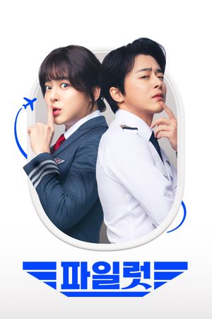 Pilot's poster