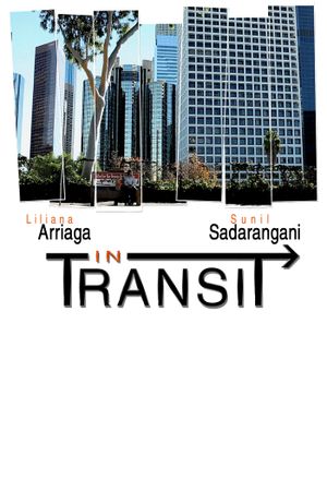 In Transit's poster