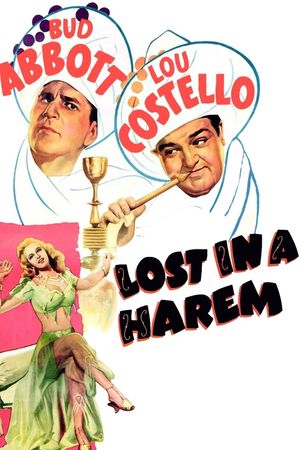 Lost in a Harem's poster