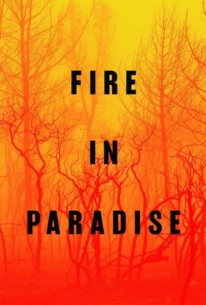 Fire in Paradise's poster