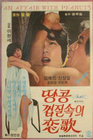 땅콩껍질 속의 연가's poster