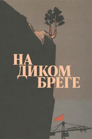 Na dikom brege's poster