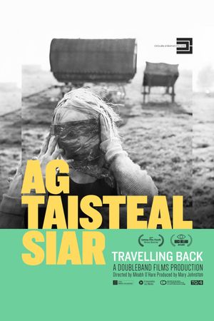 Travelling Back's poster