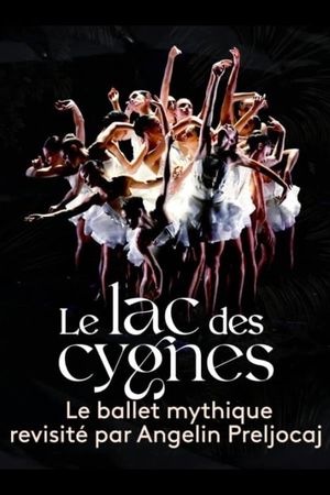 Le lac des cygnes au théâtre national de Chaillot's poster