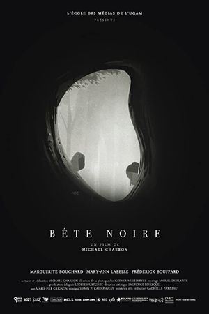 Bête noire's poster
