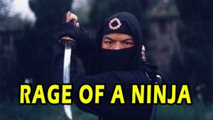 Rage of Ninja's poster