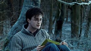 Harry Potter and the Deathly Hallows: Part 1's poster