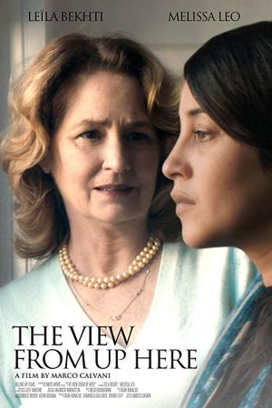 The View from Up Here's poster
